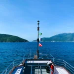 7621A6D7-071C-4C24-98B3-403D830A2F09