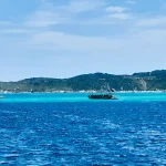 AA478F4C-C881-4440-AB96-161FD6C6A8FF