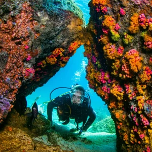Scuba Diving in Rio de Janeiro