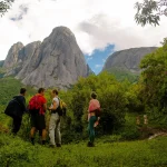 Copy-of-alice_118 – Copia – Copia