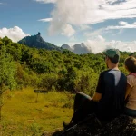 Copy-of-alice_128 – Copia (2) – Copia