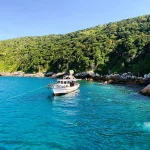 DE052093-5004-4152-B450-C3C761D76058