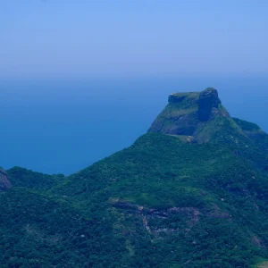 Pico da Tijuca Hike in Rio de Janeiro