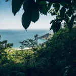 HEY_BRO_20181214_RIO_PHBR1744_HD