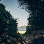 HEY_BRO_20181214_RIO_PHBR1773_HD