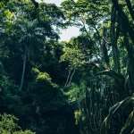 HEY_BRO_20181216_RIO_PHBR2009_SD