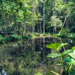 HEY_BRO_20181222_RIO_DSC00345_HD