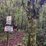 IMG_5541 – Copia – Copia