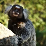 Photo-Jun-18,-23-49-39